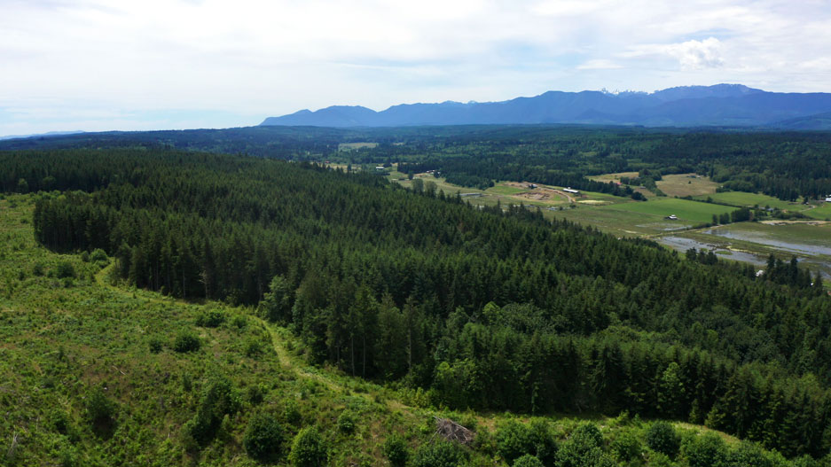 Wild Heart Forest, Farm and Nature School