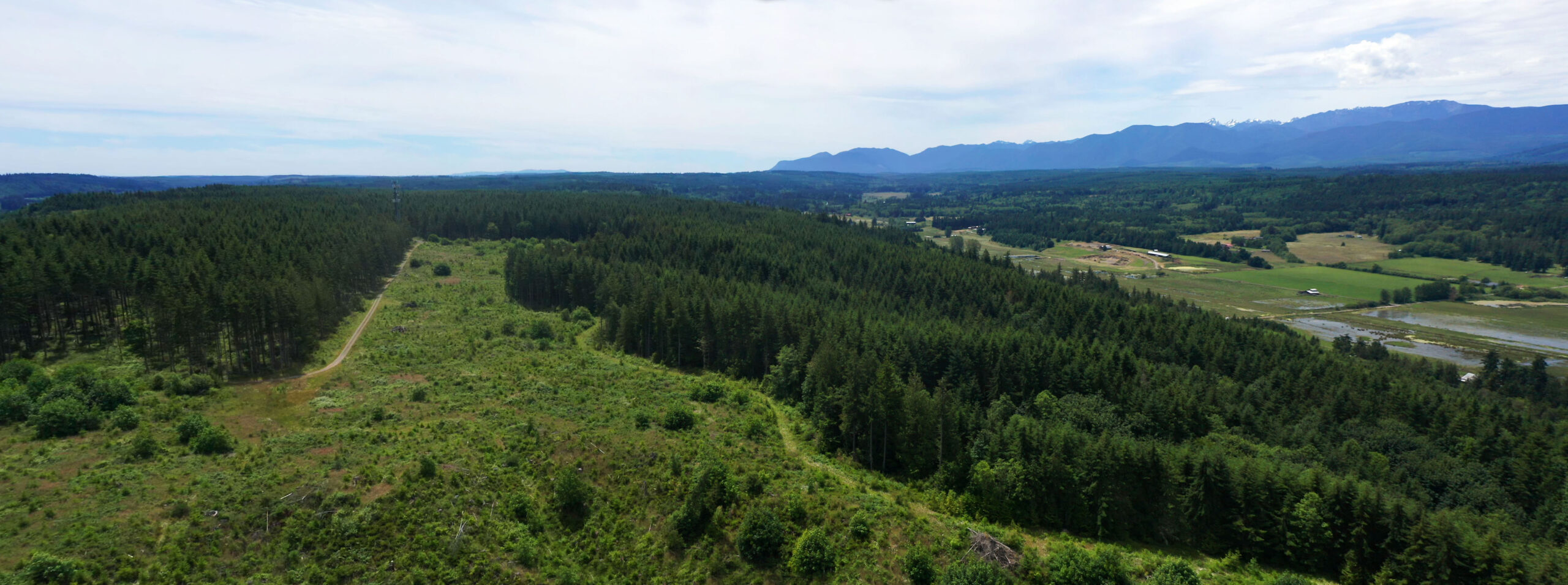 ChimacumRidgeCreditJohnGussman_1.16 Jefferson Land Trust Jefferson Land Trust