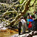 Grant Street Elementary School first and second graders come to Chimacum Creek with us every year. They release the coho salmon fry they have been raising in school and have a blast learning and playing out on the land! Photo by Wendy Feltham.