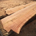 Western Redcedar Logs