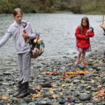 Students observing salmon on the banks of the Duckabush River.