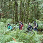 Students on the trails at Valley View Forest.