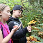 Students examining a maple leaf at Valley View Forest.