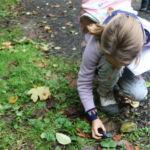 Student uses a magnifying glass to observe leaves on the trailside at Valley View Forest.