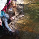 Grant Street Elementary School first and second graders come to Chimacum Creek with us every year. They release the coho salmon fry they have been raising in school and have a blast learning and playing out on the land! Photo by Wendy Feltham.